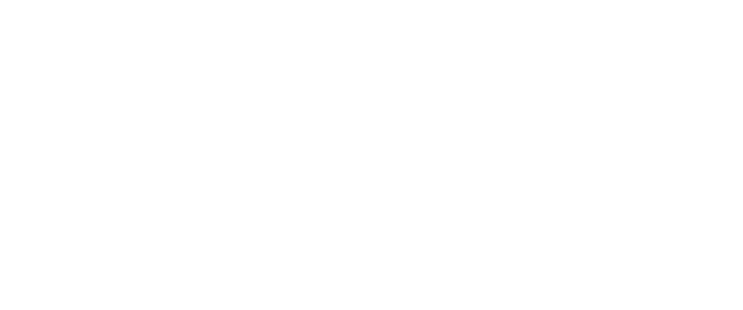 NEX INFORMATICA Logo